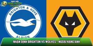 Nhận định Brighton vs Wolves, 21h00 ngày 09/05 – Ngoại hạng Anh